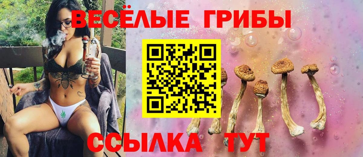 Галлюциногенные грибы MAGIC MUSHROOMS  Вход с VPN  Полысаево 